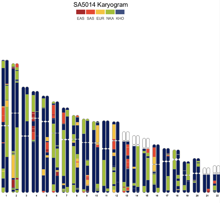 bar graph illustrating data output